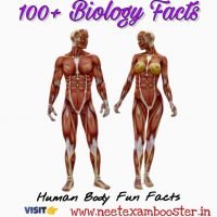 100+ Biology Facts – Human Body Fun Facts