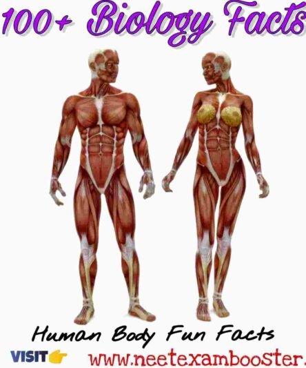 100+ Biology Facts – Human Body Fun Facts