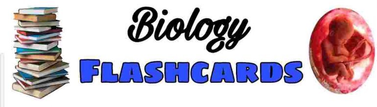 Biology Flashcards