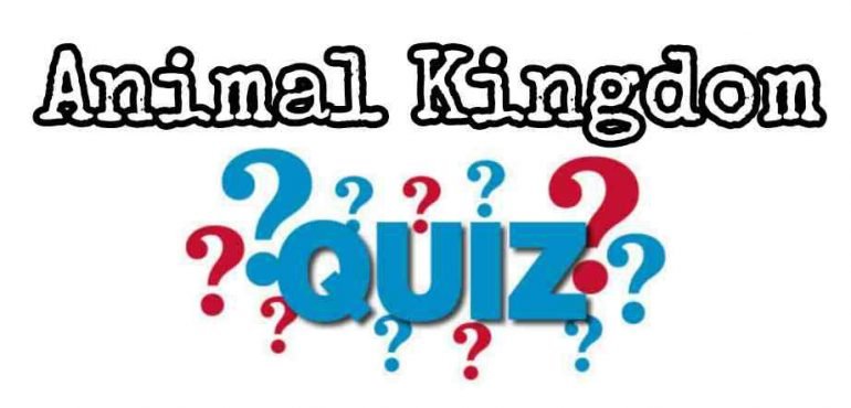 Animal Kingdom Quiz For NEET – Class 11 Chapter 4 Biology Important Questions