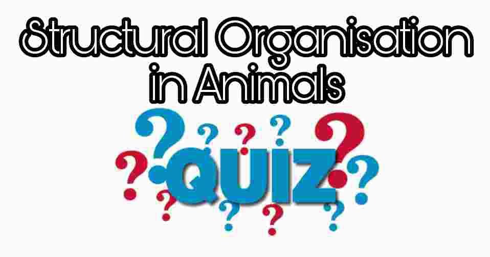 Structural Organisation in Animals Quiz