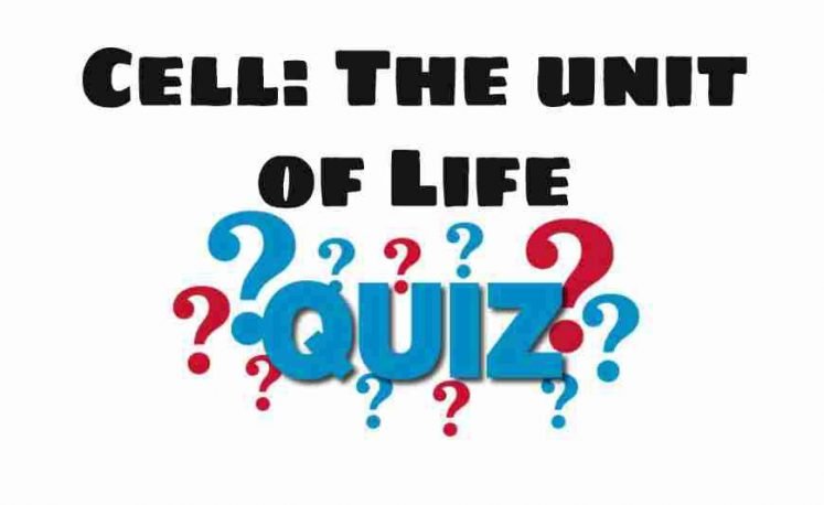 Cell The Unit Of Life Quiz For NEET – Class 11 Chapter 8 Biology Important Questions MCQ