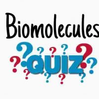 Biomolecules Quiz For NEET – Class 11 Chapter 9 Biology Important Questions MCQ