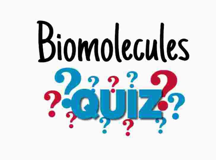 Biomolecules Quiz