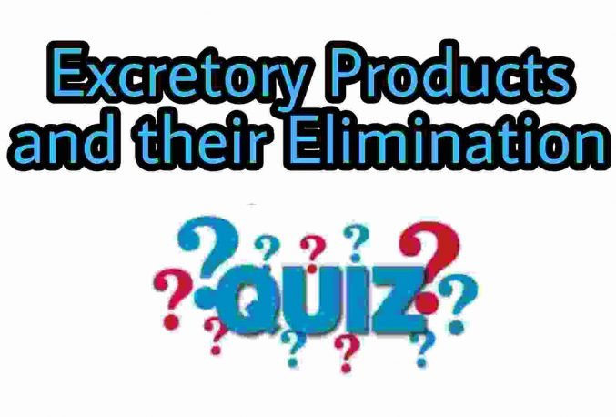 Excretory Products and their Elimination Quiz For NEET – Class 11 Chapter 19 Biology Important Questions MCQ