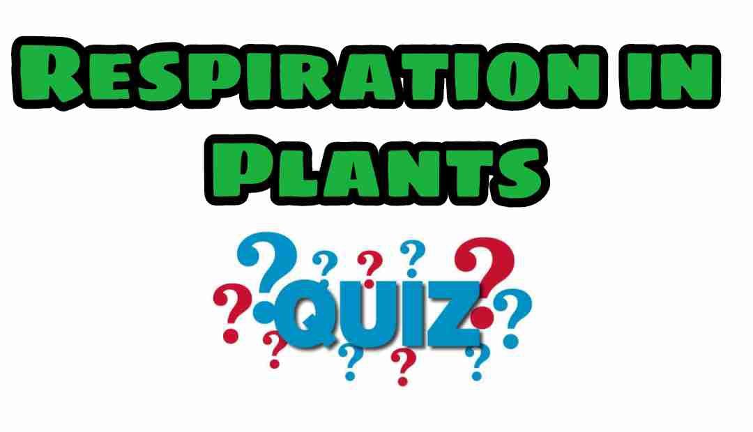 Respiration in Plants Quiz