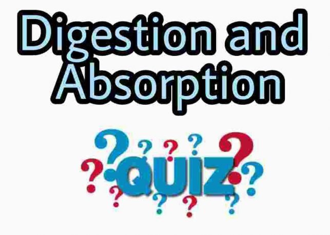 Digestion and Absorption Quiz For NEET – Class 11 Chapter 16 Biology Important Questions MCQ