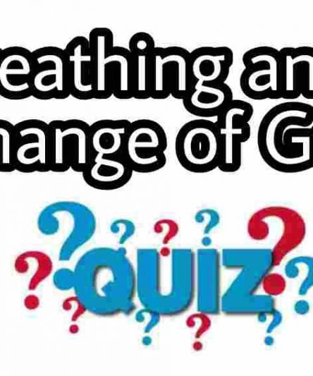 Breathing and Exchange of Gases Quiz For NEET – Class 11 Chapter 17 Biology Important Questions MCQ