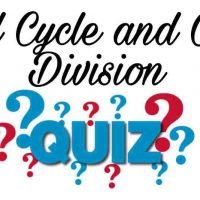 Cell Cycle and Cell Division Quiz For NEET – Class 11 Chapter 10 Biology Important Questions MCQ