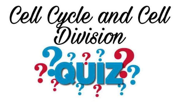 Cell Cycle and Cell Division Quiz For NEET – Class 11 Chapter 10 Biology Important Questions MCQ