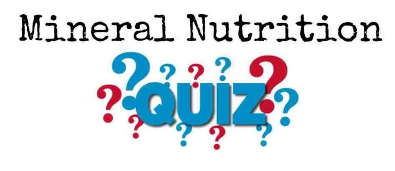 Mineral Nutrition Quiz For NEET – Class 11 Chapter 12 Biology Important Questions MCQ