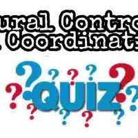 Neural Control and Coordination Quiz For NEET – Class 11 Chapter 21 Biology Important Questions MCQ