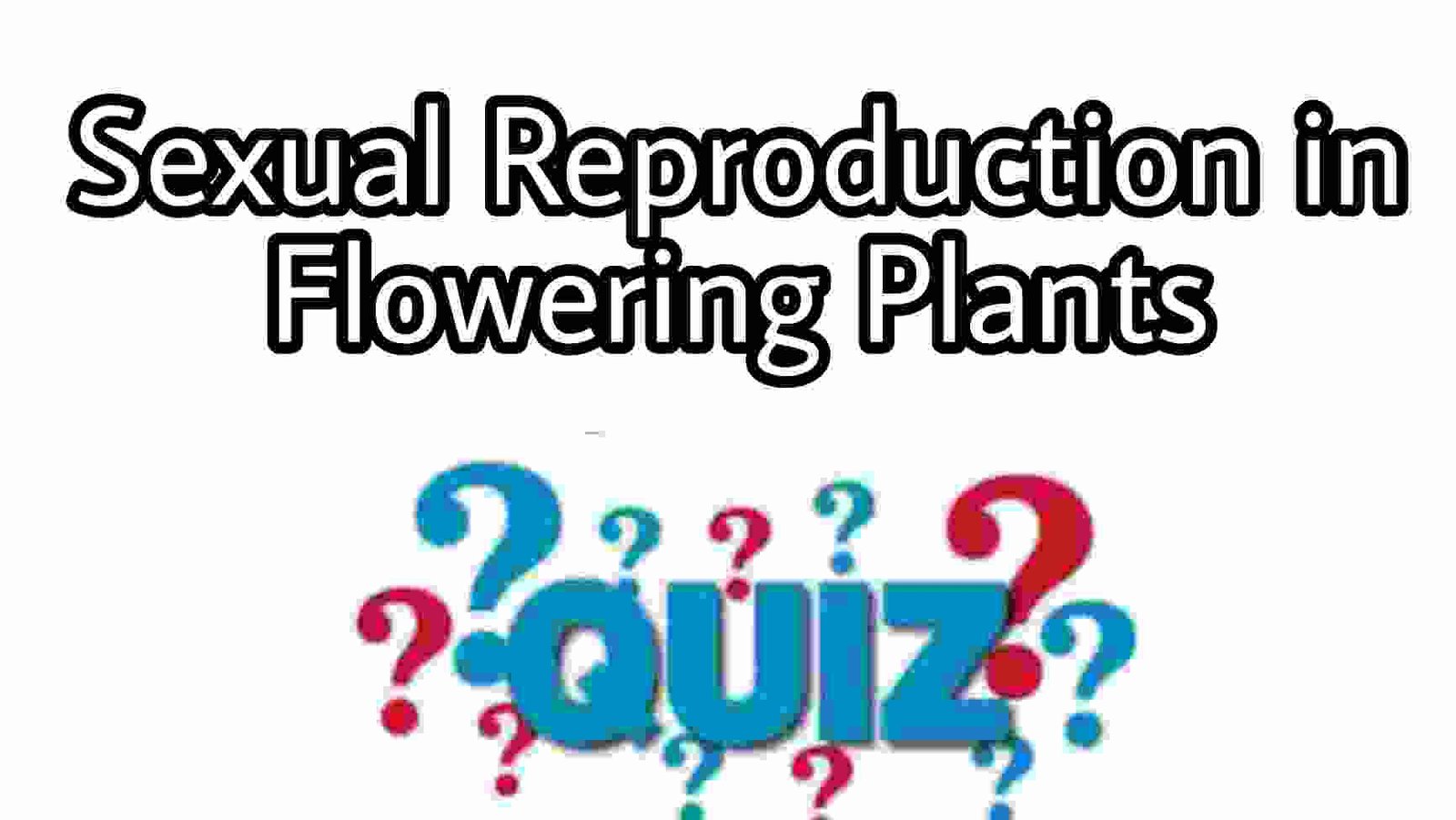 Sexual Reproduction in Flowering Plants Quiz For NEET – Class 12 Chapter 2 Biology Important Questions MCQ