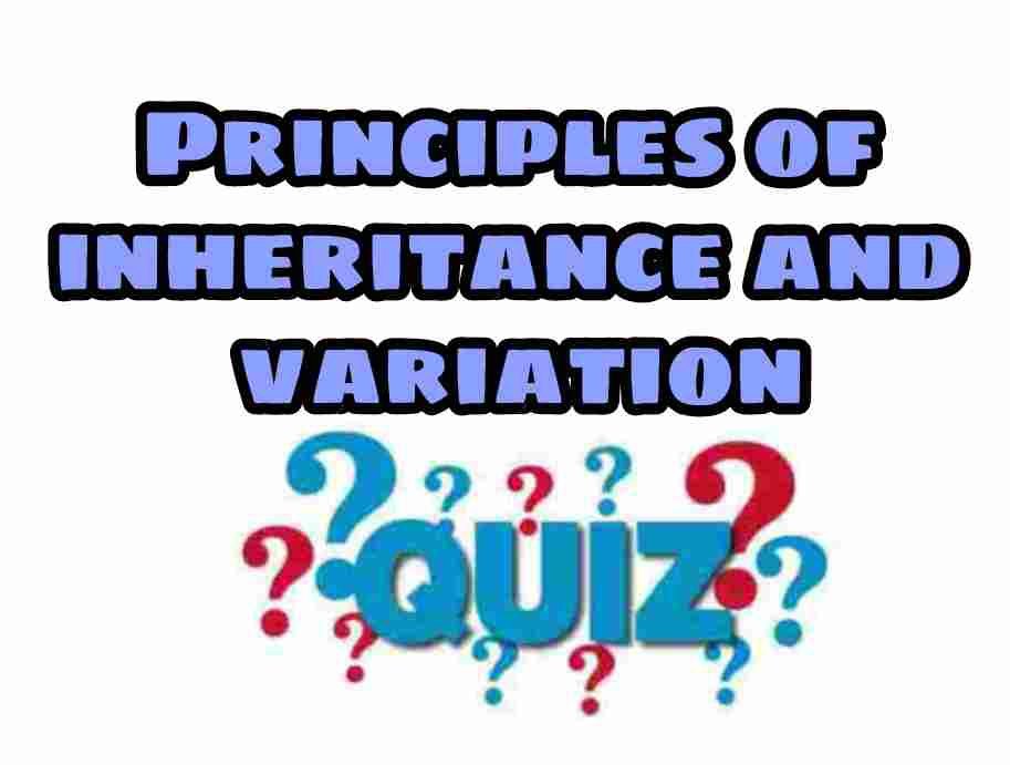 Principles of Inheritance and Variation Quiz For NEET – Class 12 Chapter 5 Biology Important Questions MCQ