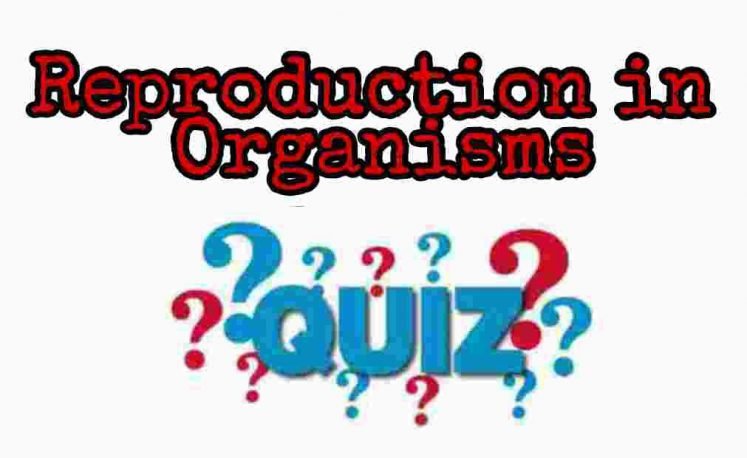 Reproduction in Organisms Quiz For NEET – Class 12 Chapter 1 Biology Important Questions MCQ