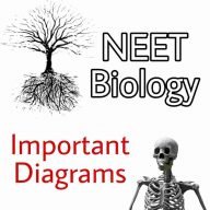 [PDF] Important Biology Diagrams For NEET and CBSE PDF Download From All Chapters – NCERT Class 11, Class 12