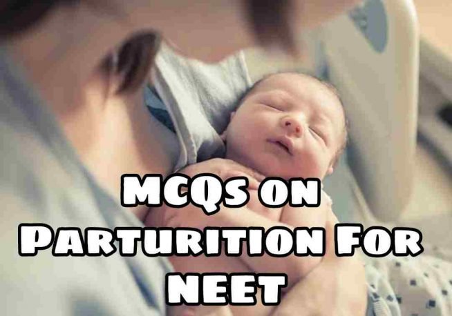 Important MCQ on Parturition For NEET 2022