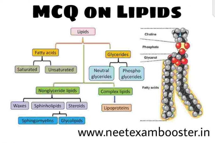 MCQ on Lipids