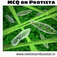 MCQ on protista