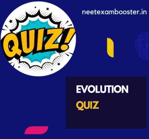 Evolution Quiz