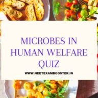 Microbes in Human Welfare Quiz