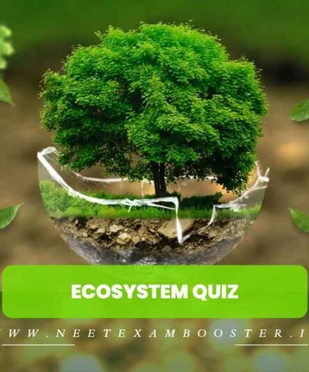 Ecosystem Quiz For NEET – Class 12 Chapter 14 Biology Important Questions MCQ