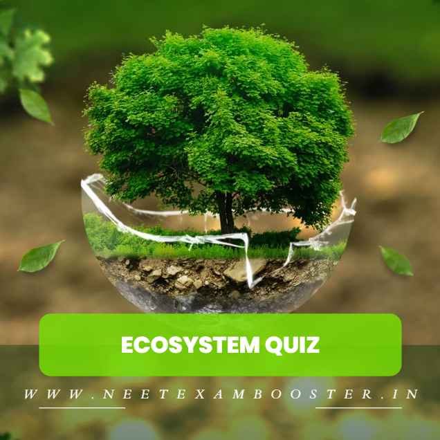 Ecosystem Quiz For NEET – Class 12 Chapter 14 Biology Important Questions MCQ