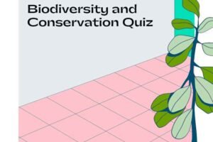 Biodiversity and Conservation Quiz