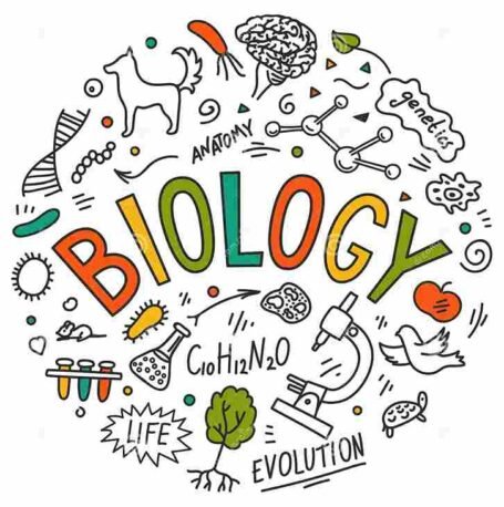 CBSE Biology Class 11 Book PDF