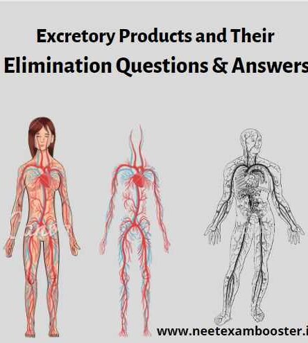 Excretory Products and Their Elimination Class 11 Important Questions And Answers MCQ PDF