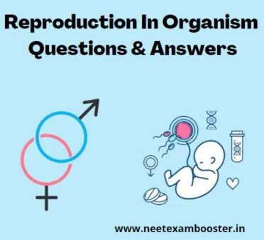 Reproduction in Organism Class 12 Important Questions And Answers MCQ PDF