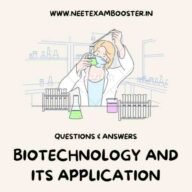 Biotechnology Principles and Processes Class 12