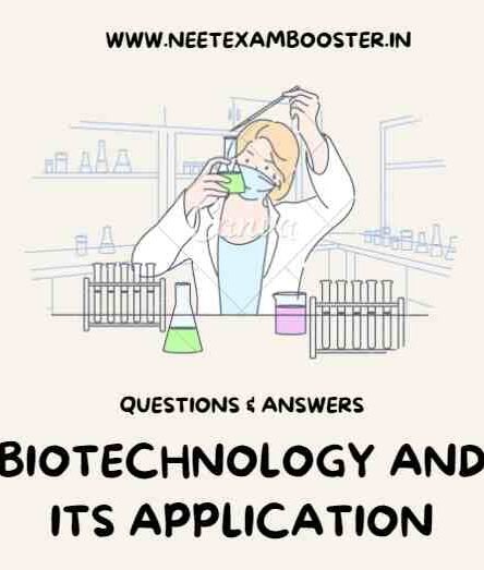 Biotechnology Principles and Processes Class 12 Important Questions And Answers