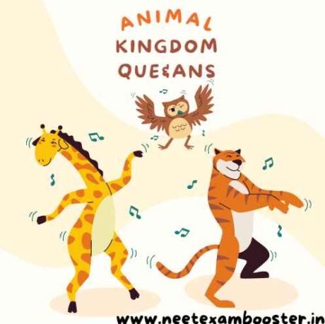Animal Kingdom Class 11 Important Questions And Answers - NEET EXAM BOOSTER