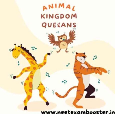 Animal Kingdom Class 11 Important Questions And Answers - NEET EXAM BOOSTER Animal Kingdom Class 11 Important Questions And Answers - NEET EXAM BOOSTER