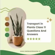 Transport in Plants Class 11