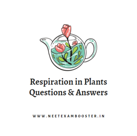 Respiration in Plants Class 11