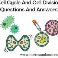 Cell Cycle And Cell Division Class 11