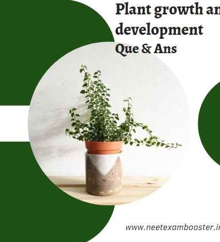 Plant Growth And Development Class 11 Important Questions And Answers MCQ PDF