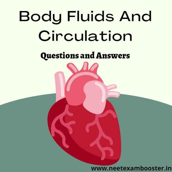 Body Fluids And Circulation Class 11 Important Questions And Answers MCQ PDF