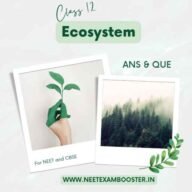 Ecosystem Class 12 Important Questions And Answers MCQ PDF
