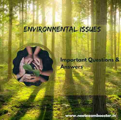 Environmental Issues Class 12 Important Questions And Answers MCQ PDF