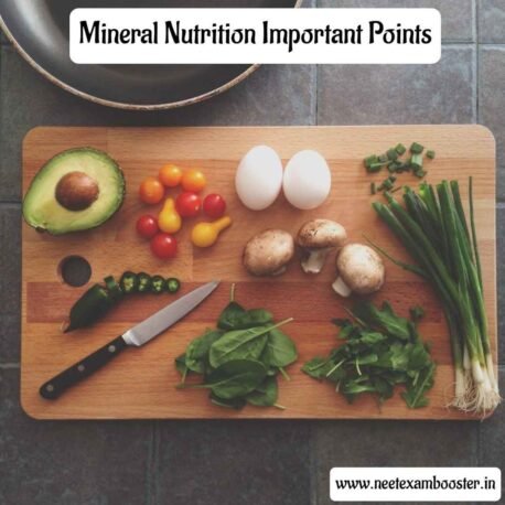 Mineral Nutrition Important Points