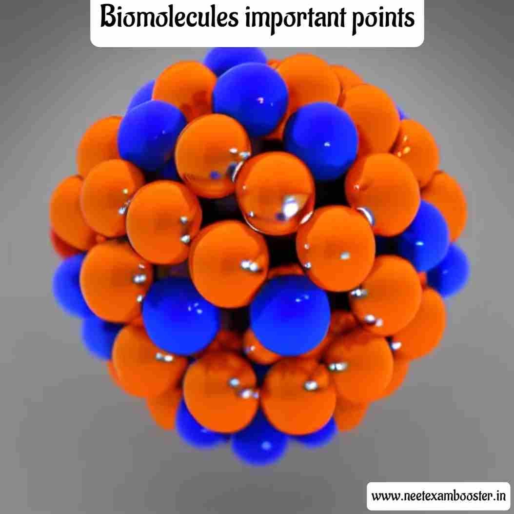Biomolecules Important Points For NEET