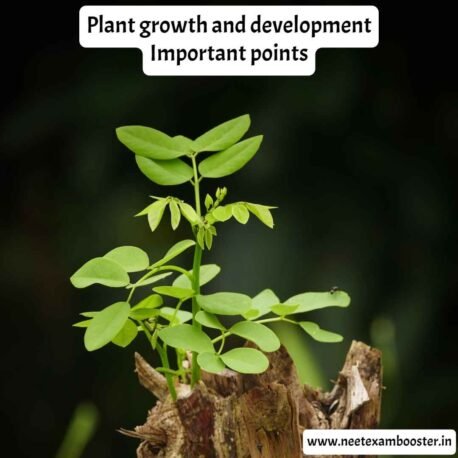 Plant growth and development Important points