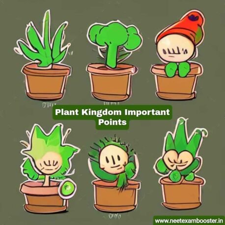 Plant kingdom Important Points