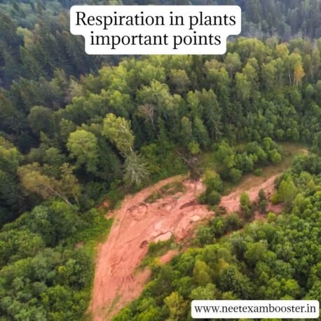 Respiration in plants important points For NEET