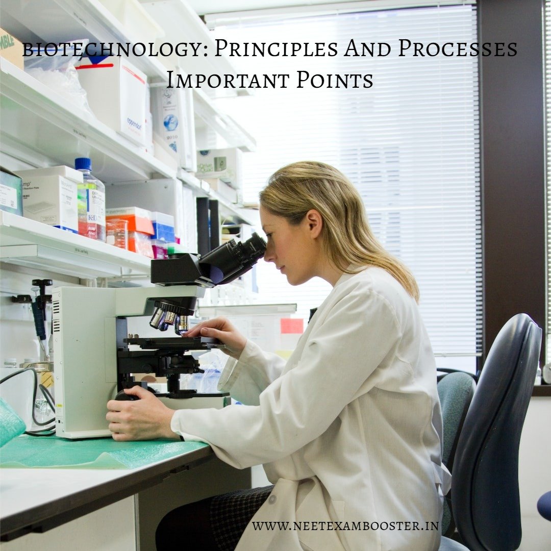 Biotechnology: principles and processes important points
