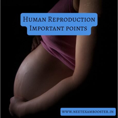 Human reproduction important points