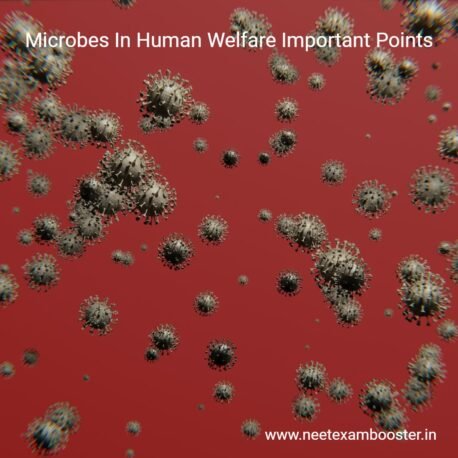 Microbes in human welfare important points For NEET